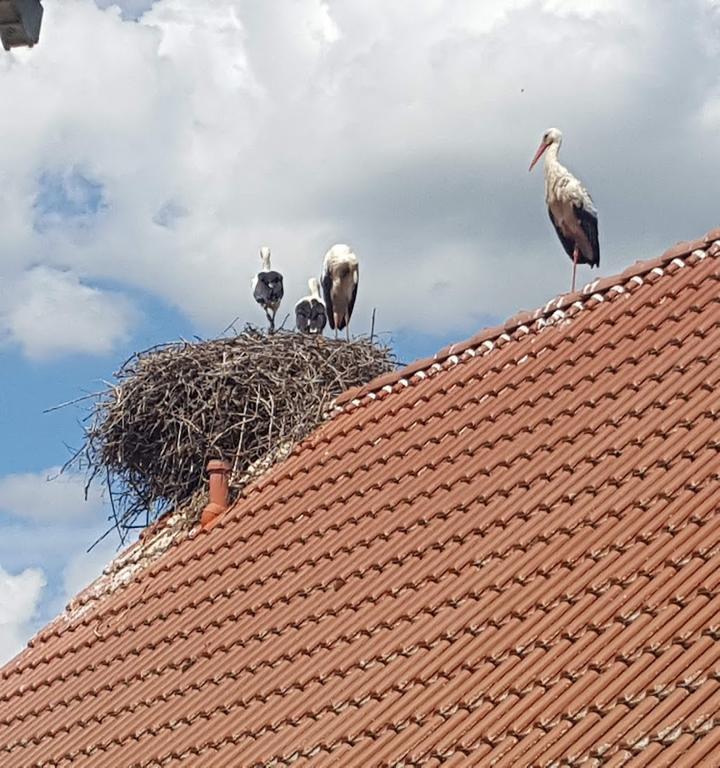 Gaststaette Zum Vogelpark